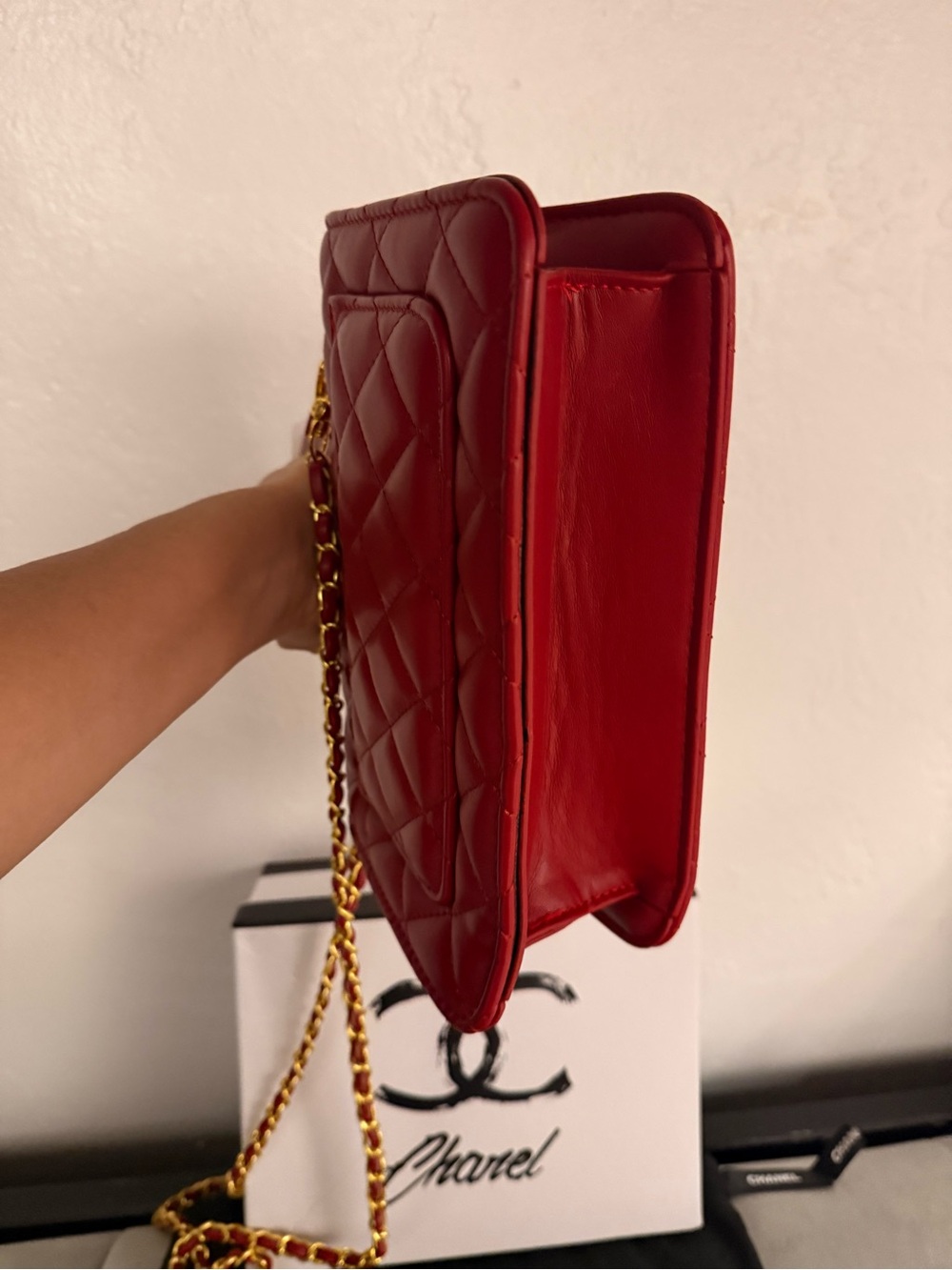 MINI LUXURY BAG - Picture 16 of 16